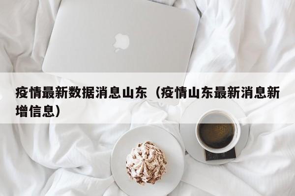 疫情最新数据消息山东(疫情山东最新消息新增信息)