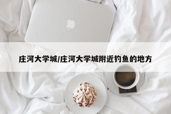 庄河大学城/庄河大学城附近钓鱼的地方